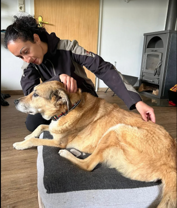 Bildschirmfoto 2026-02-12 um 10